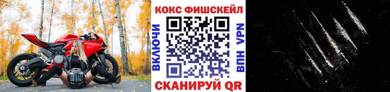 Купить где  Меленки  COCAIN Fish Scale 