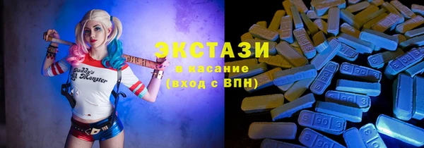 дмт Богданович