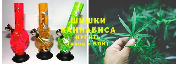 дмт Богданович
