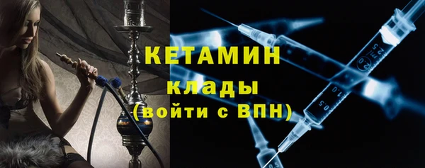 дмт Богданович