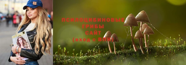 МДМА Богородицк