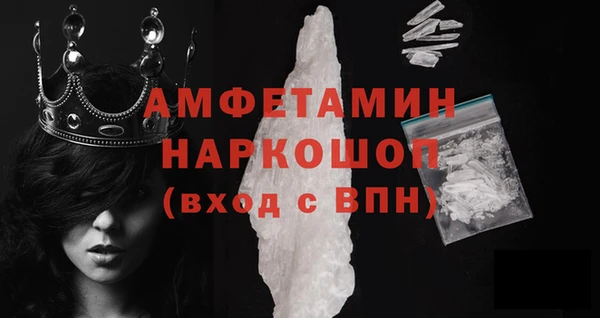 дмт Богданович