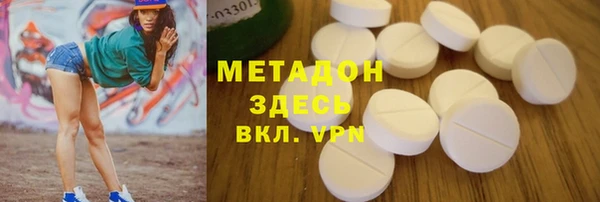 дмт Богданович