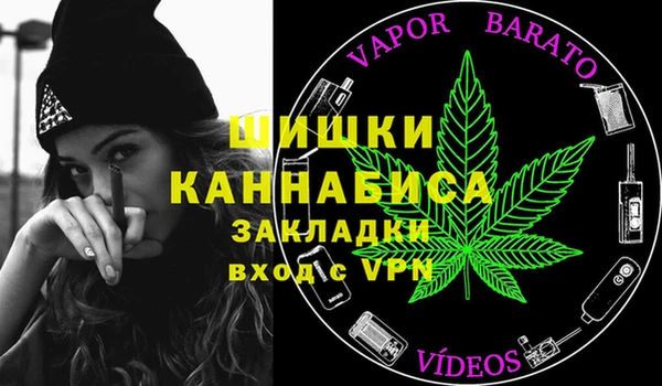 дмт Богданович