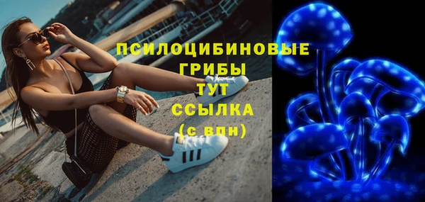 герыч Бронницы