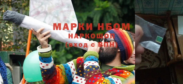 дмт Богданович