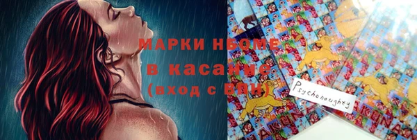 дмт Богданович