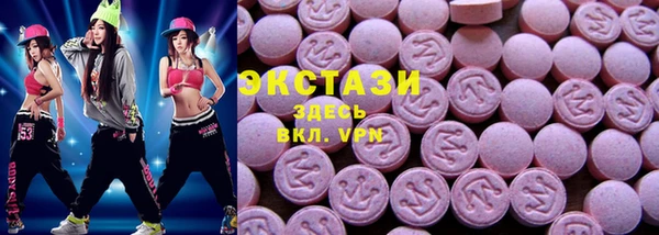 дмт Богданович